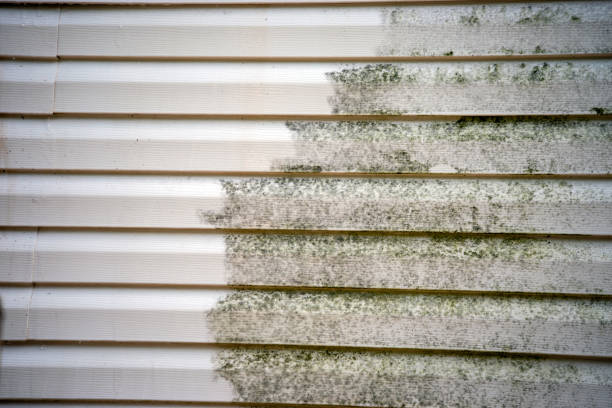 Best Composite Siding  in Winchester, VA