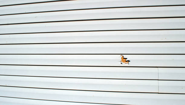 Best Stucco Siding  in Winchester, VA