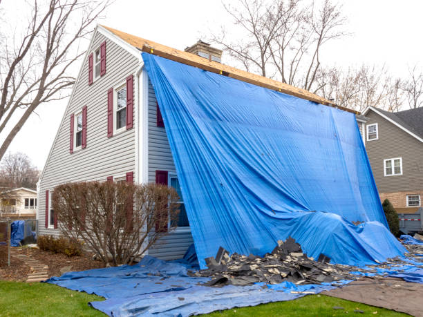 Best Residential Vinyl Siding Installation  in Winchester, VA