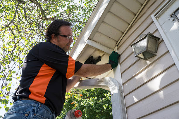 Affordable siding repair and maintenance services in Winchester, VA